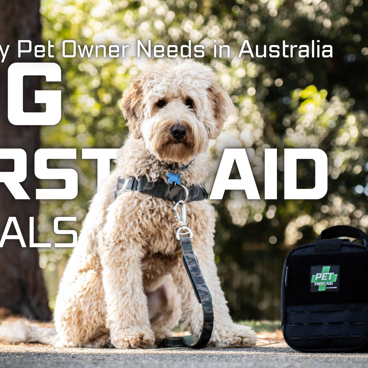 Dog First Aid Kit Essentials: What Every Pet Owner Needs in Australia