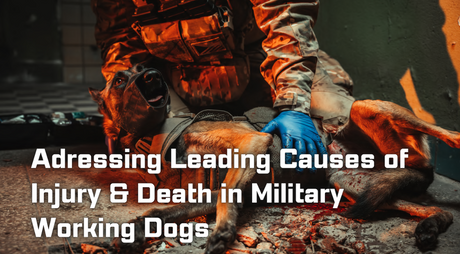 Adressing Leading Causes of Injury & Death in Military Working Dogs