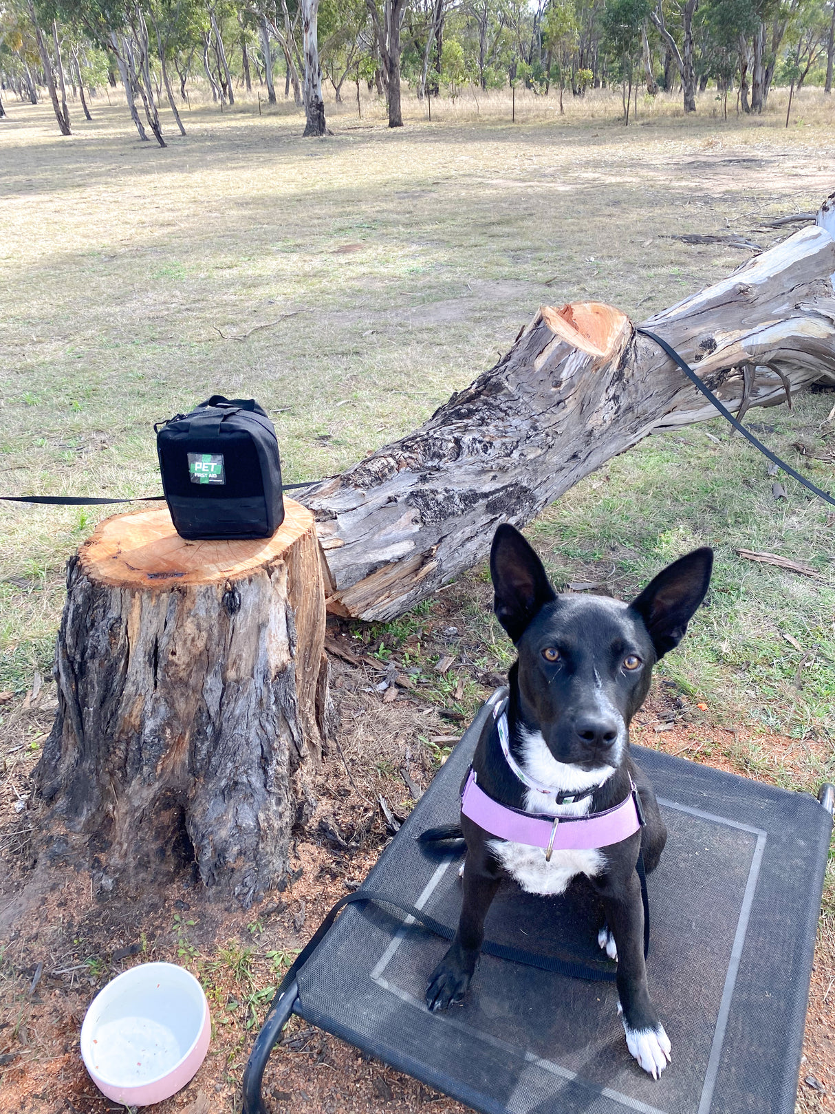 Pet First Aid PVC Patch