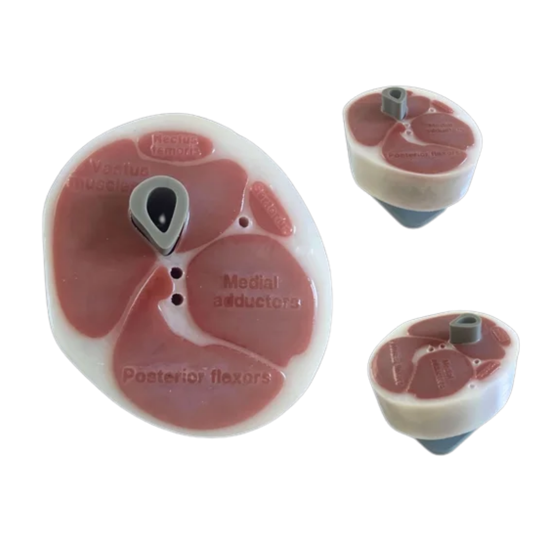 Slishman Tourniquet Trainer