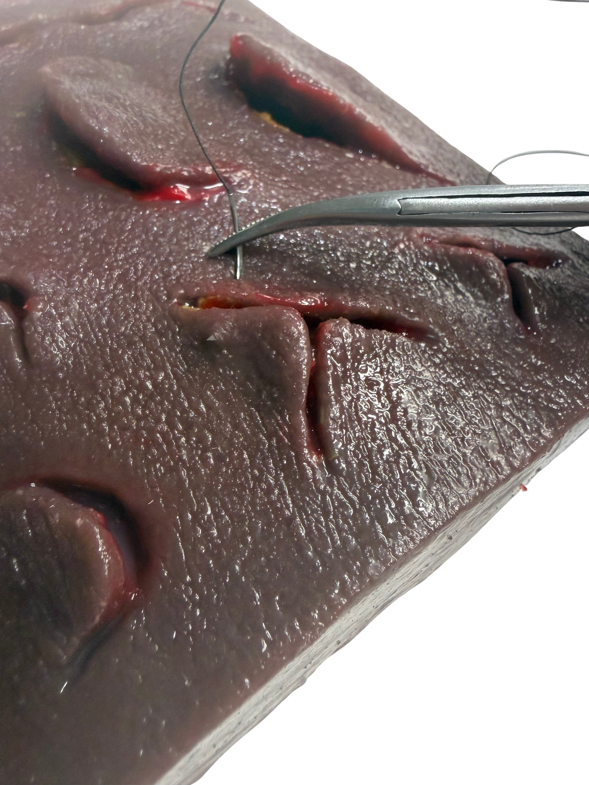Suture-IQ