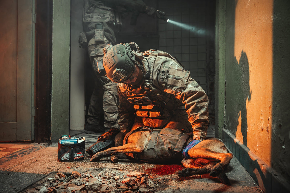 K9 TECC: First Aid for Working Dogs in Tactical and Operational Environments