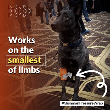Dog wearing a pressure wrap with text about its effectiveness on small limbs, set against a blurred indoor background.