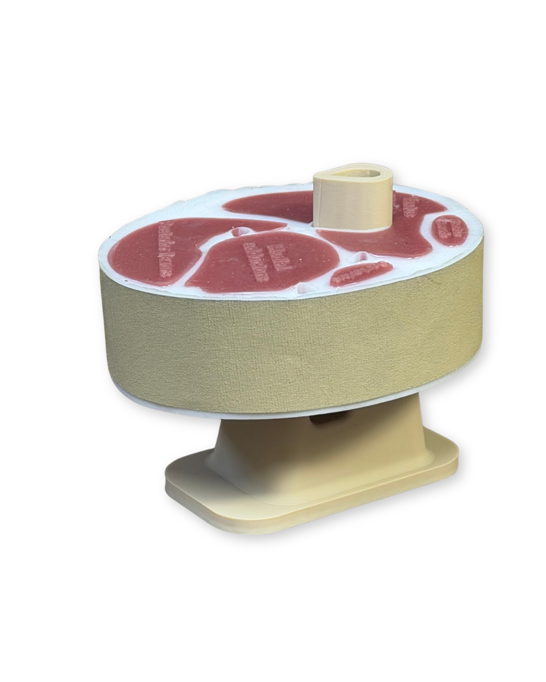 Slishman Tourniquet Trainer