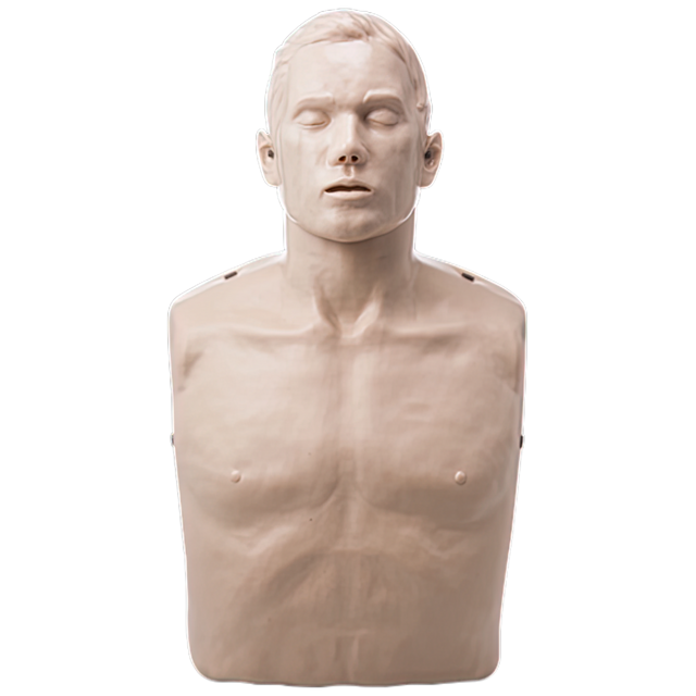Brayden IM13-S CPR manikin head and torso for adult CPR training
