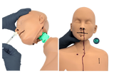 CPR Clancy — Interactive CPR & First-Aid Training Manikin with Patented Head-Turn Mechanism
