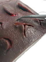 Suture-IQ